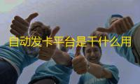 自动发卡平台是干什么用的,24小时自动发卡平台
