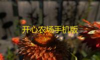 开心农场手机版