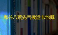 鬼谷八荒先气候运卡池概率调整MOD